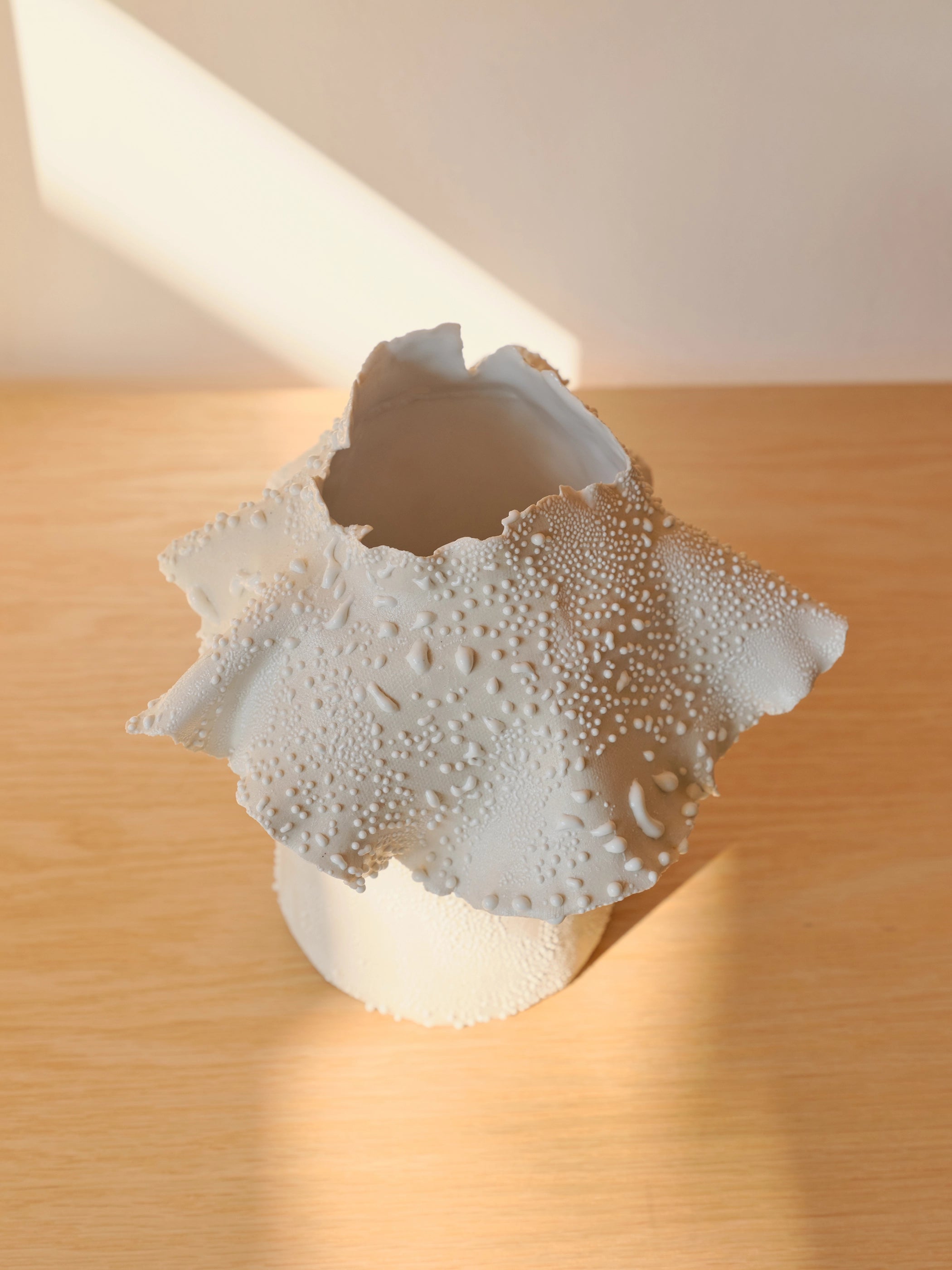 White Lichen Barnacle Vase