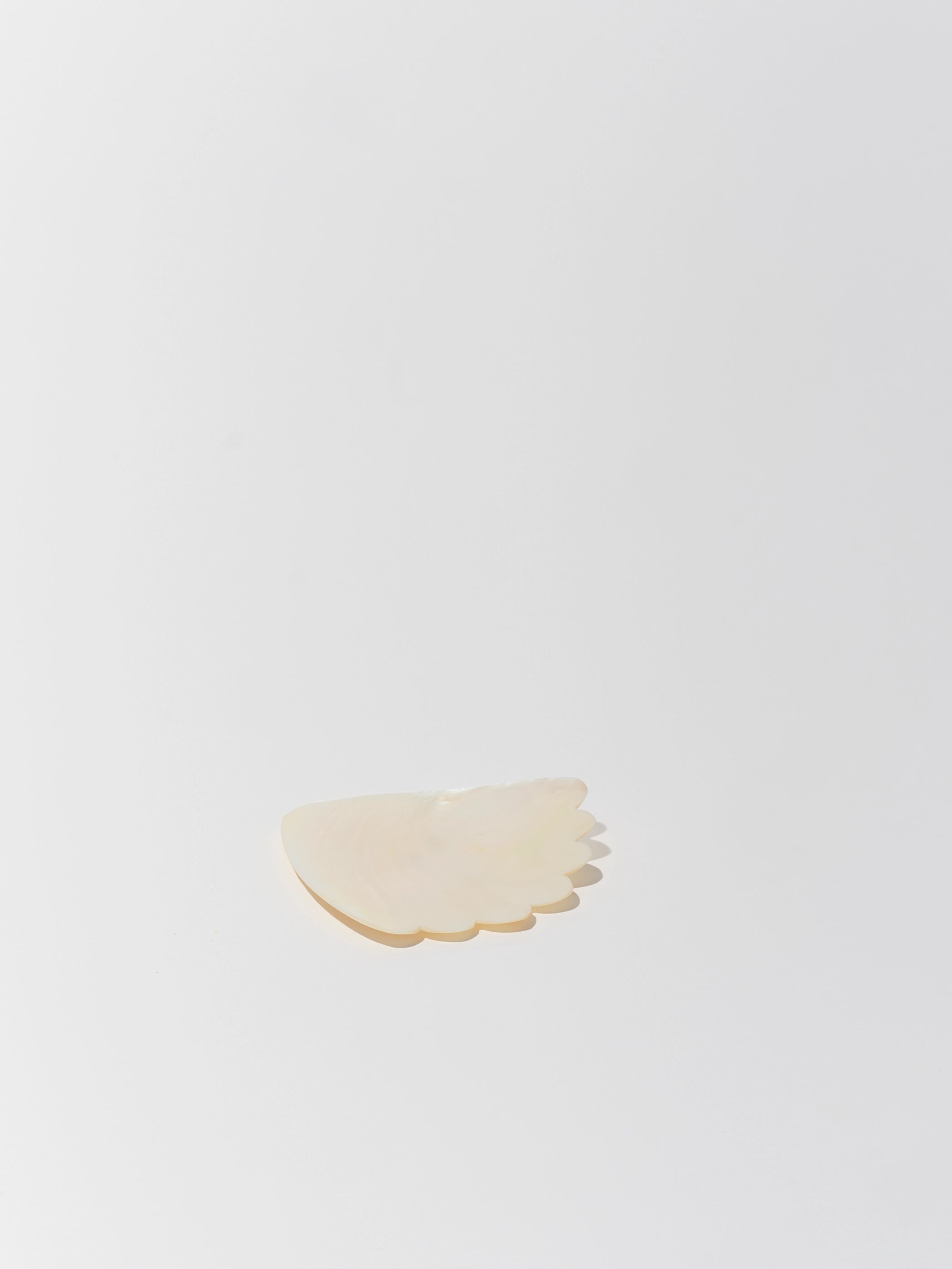 Mother of Pearl Coquille Dish