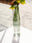 Dune Litro (Green)