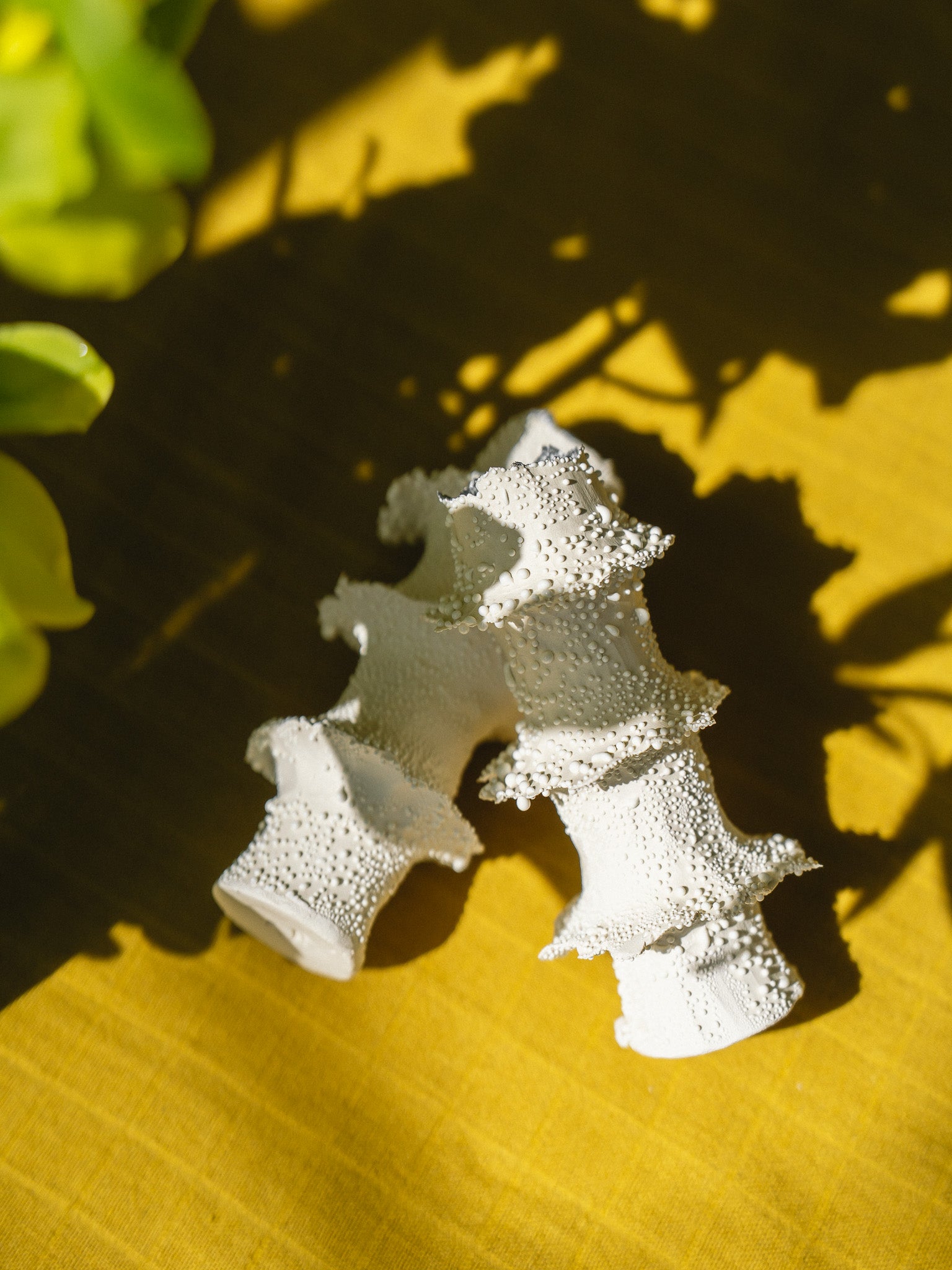 Torn Tier Candle Stand (White Lichen)