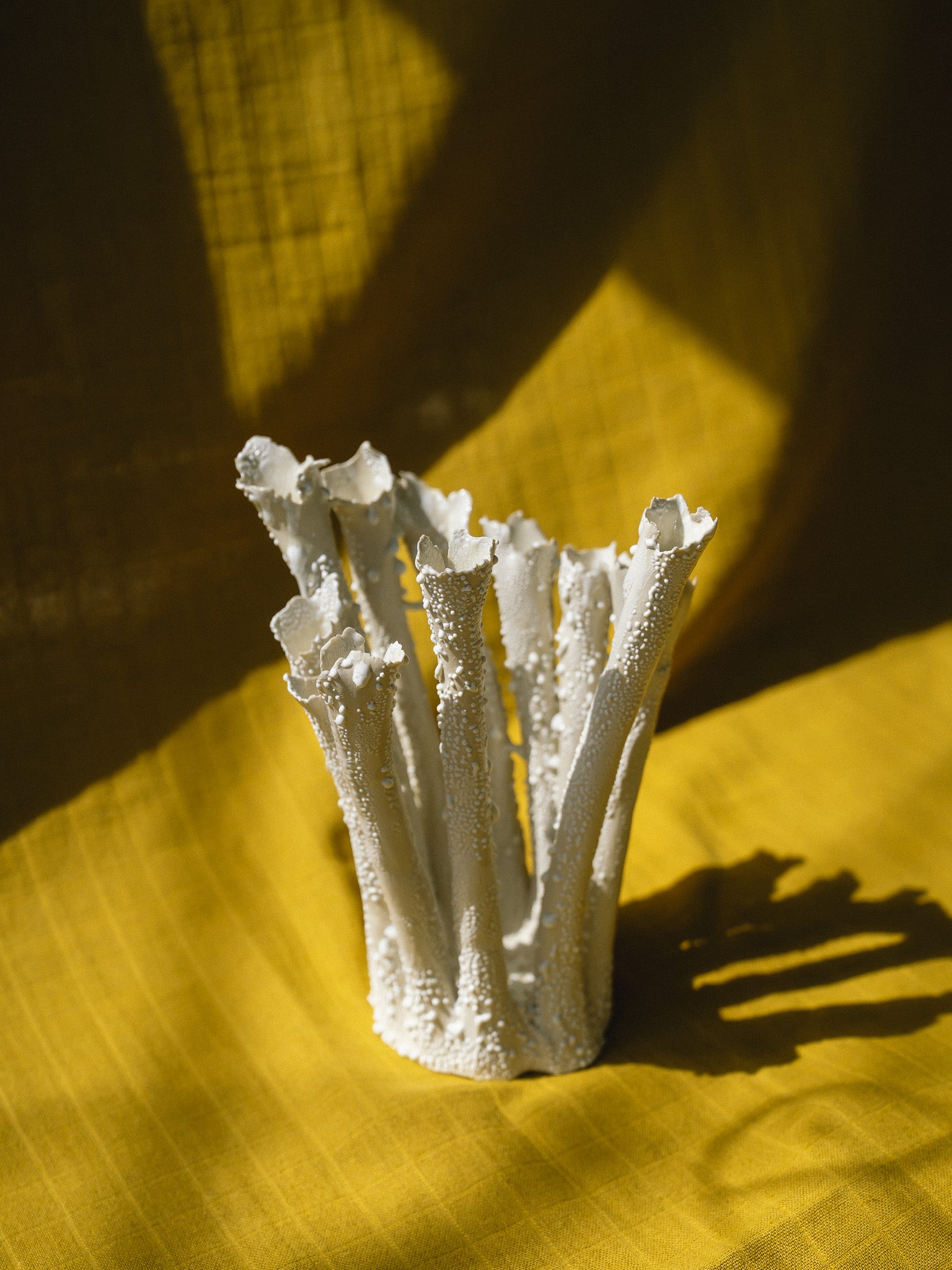 Coral Cluster 7 Tubes (White Lichen)