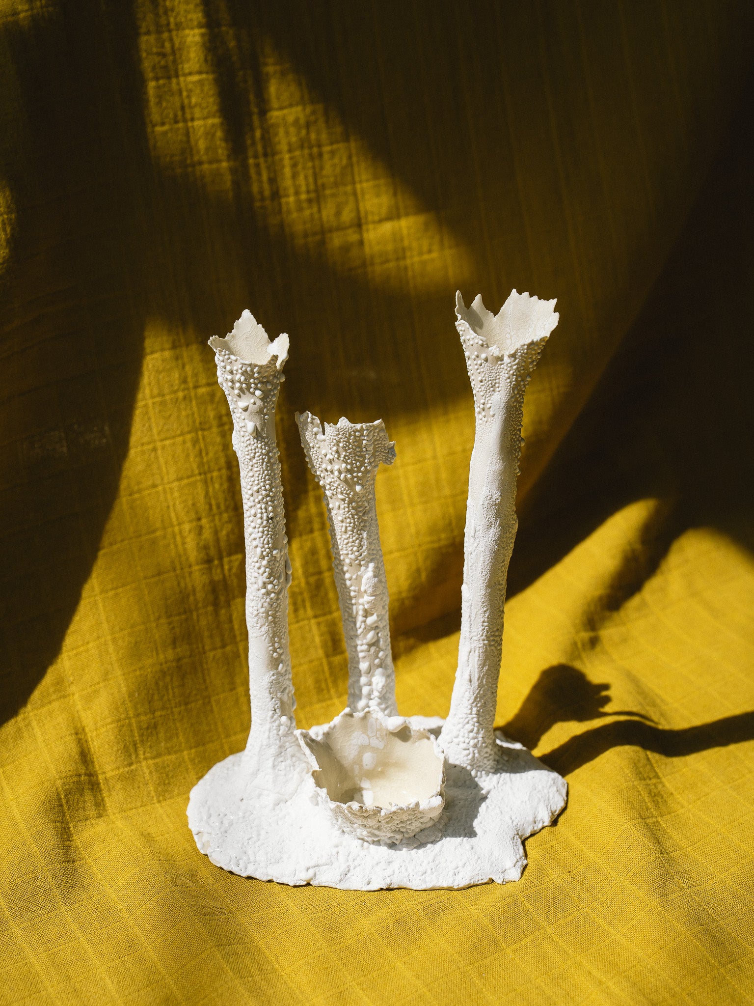 Coral Cluster 3 Tubes (White Lichen)