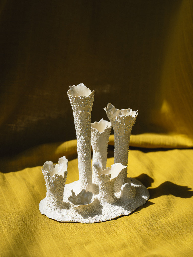 Coral Cluster 6 Tubes (White Lichen)