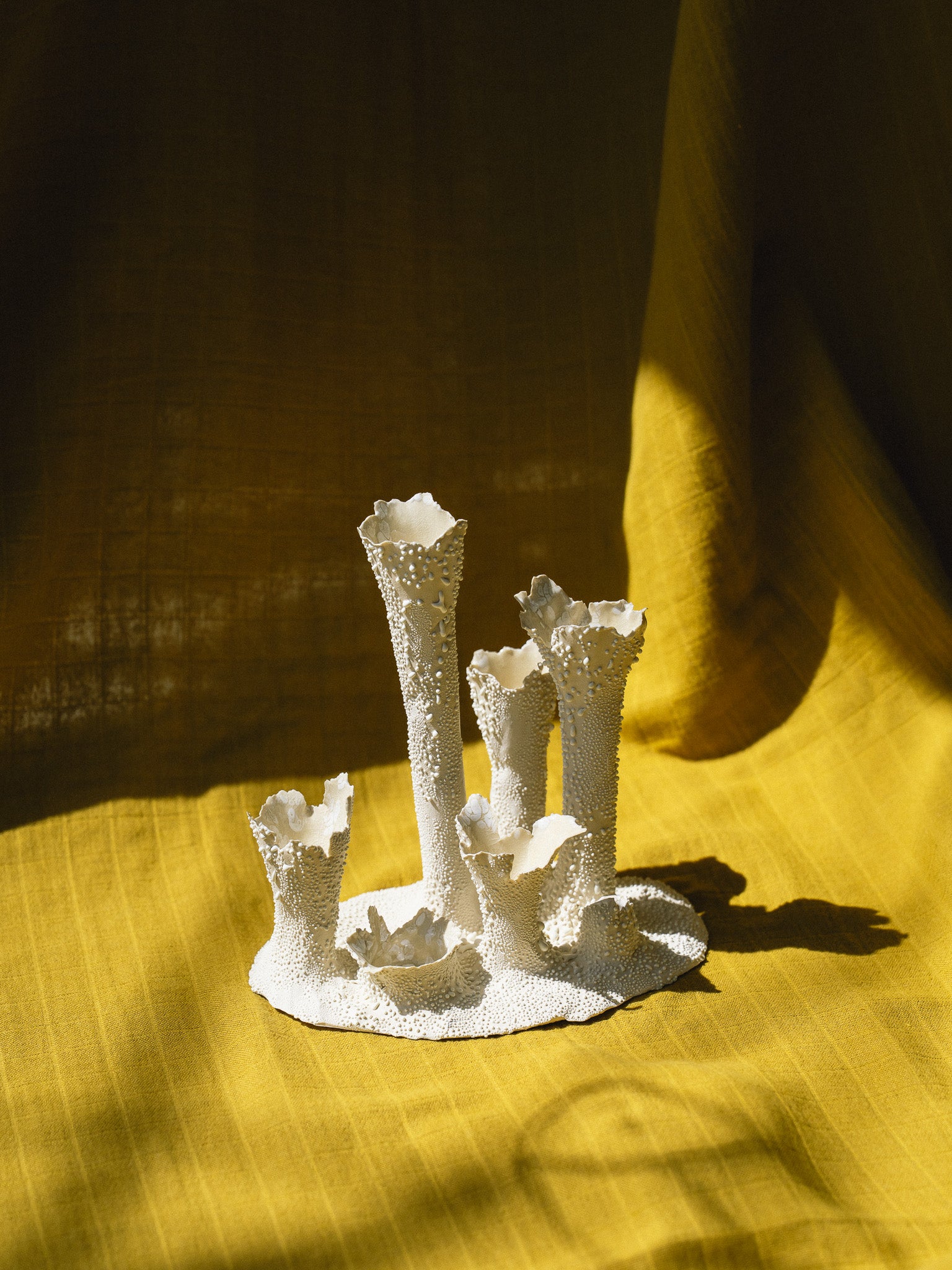 Coral Cluster 6 Tubes (White Lichen)