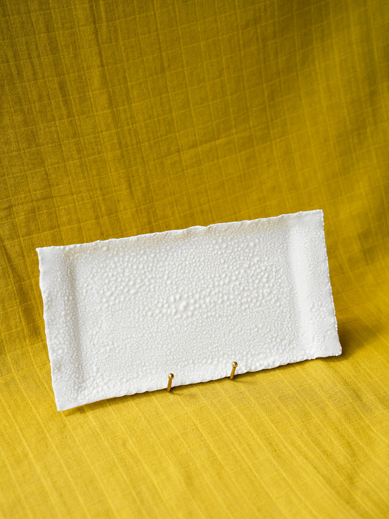 Coffee Table Tray (White Lichen)