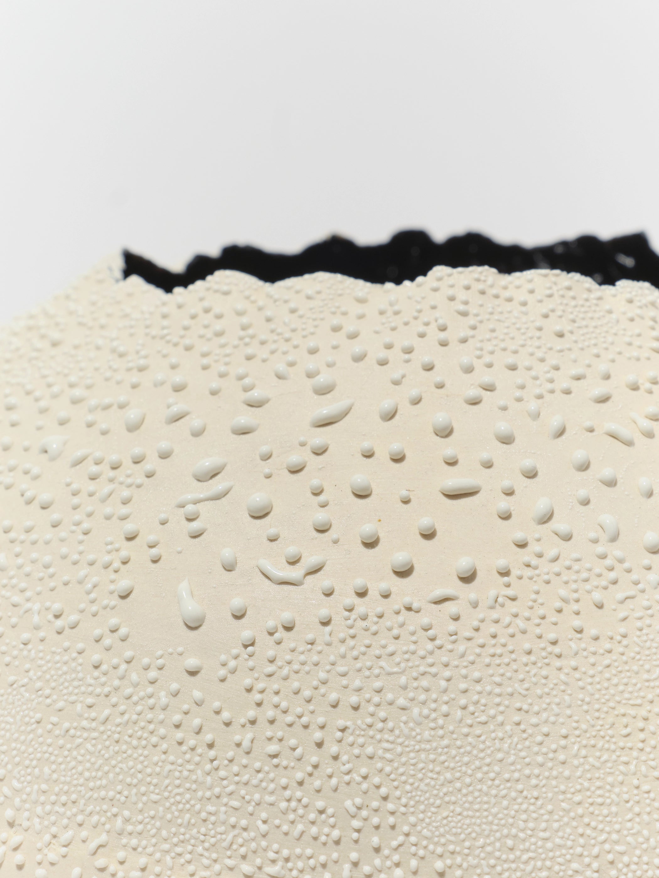 White Lichen Giant Orb