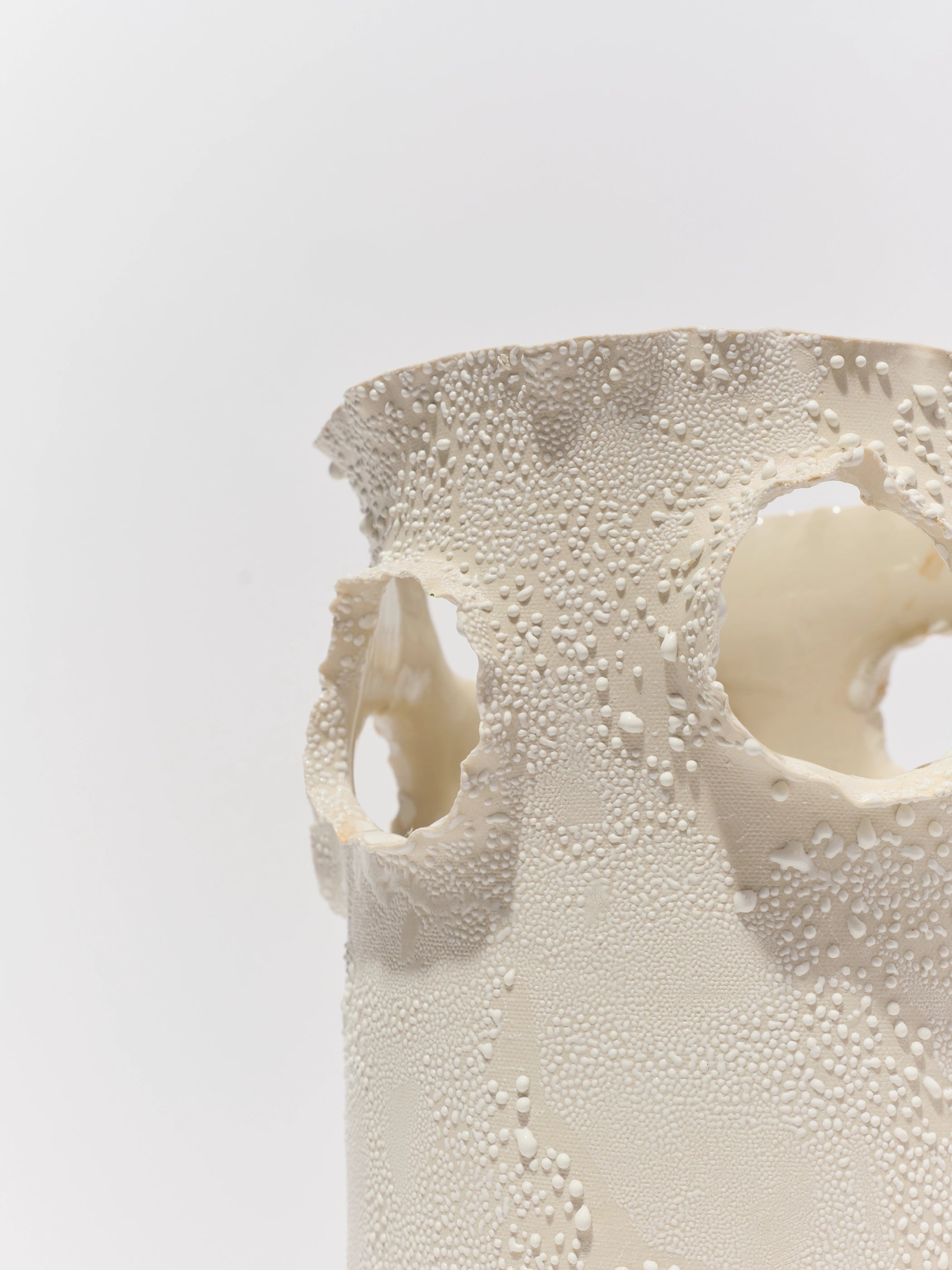 White Lichen Roosting Vase